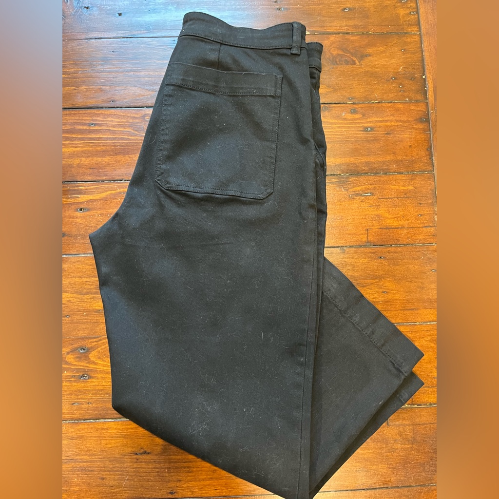 Everlane Black Chinos